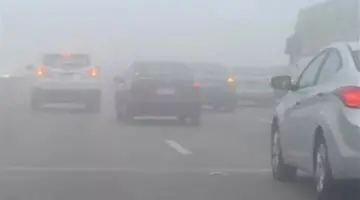 بين الأمطار والشبورة المائية: كيف تقود مركبتك بأمان خلال التقلبات الجوية؟